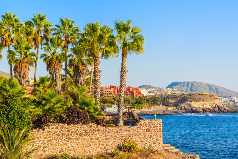 Tenerife coast, with Costa Adeje in the background